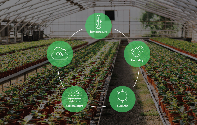 Co2 Sensors for Optimal Plant Growth in Homes & Farms